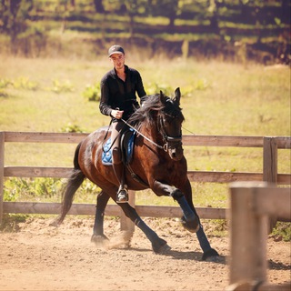 Ranch INFINITE RIDE 🐴