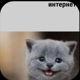 Хоули