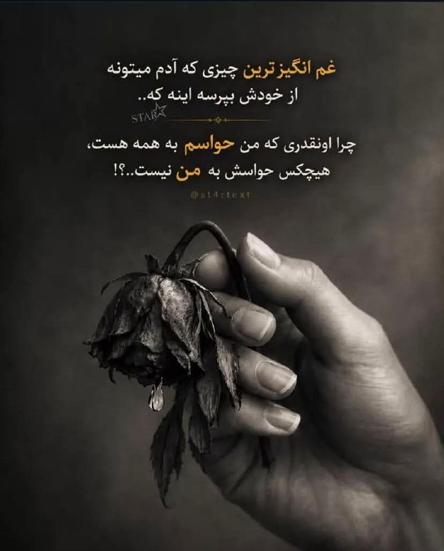 📸 گلچین بهترینها 🗒🎼: رسانه پست