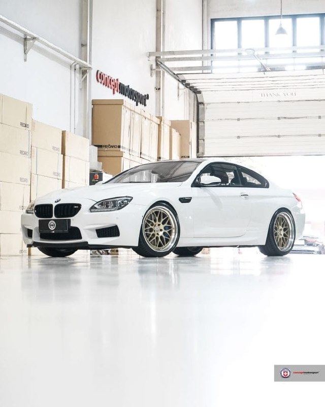 Alpine White — капризный цвет для дисков, но Satin Gold HRE Classic 300 с Polish