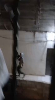 مستوطنون مسلحون يقتحمون بلدة المغير بحماية الاحتلال