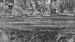 מפקד חוליית רקטות של הג'יהאד האיסלאמי נהרג בסוף השבוע בחאן יונס, לפי צה"ל. מוחסן פריד סעיד אבו חדאף חצה לישראל ב-7 באוקטובר ופשט על אזור כיסופים.