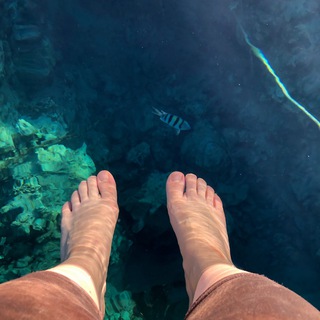 Egypt Trip 01 Telegram Group Link