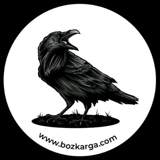 Bozkarga
