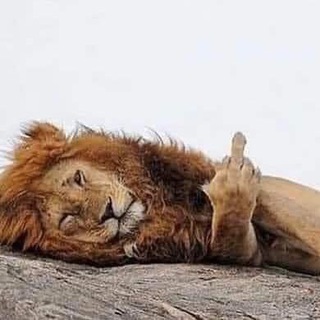 Kmy Azúa Telegram Group Link