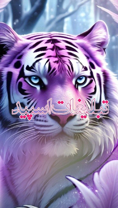 لینکدونی گروه چت بیرجند: ❶﹚ نام : ]ᬉ ⃤♥️روزهاے عاشقے♥️🌙ᬉ ⃤]❷﹚ نو؏ تبلیغات : #telegram❸﹚ توضیحات :1➖ رعایت ادب و احترام🎭2➖ تبلیغ ممنوع⛔️3➖ چت پست 
