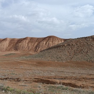 ایران نیوز Telegram Group Link