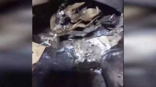 הרשת מפיצה מסר וידאו לשרתים של החטיבה ה-54 של הכוחות המזוינים של אוקראינה. הסרטון קובע כי הפקודה אינה תומכת…