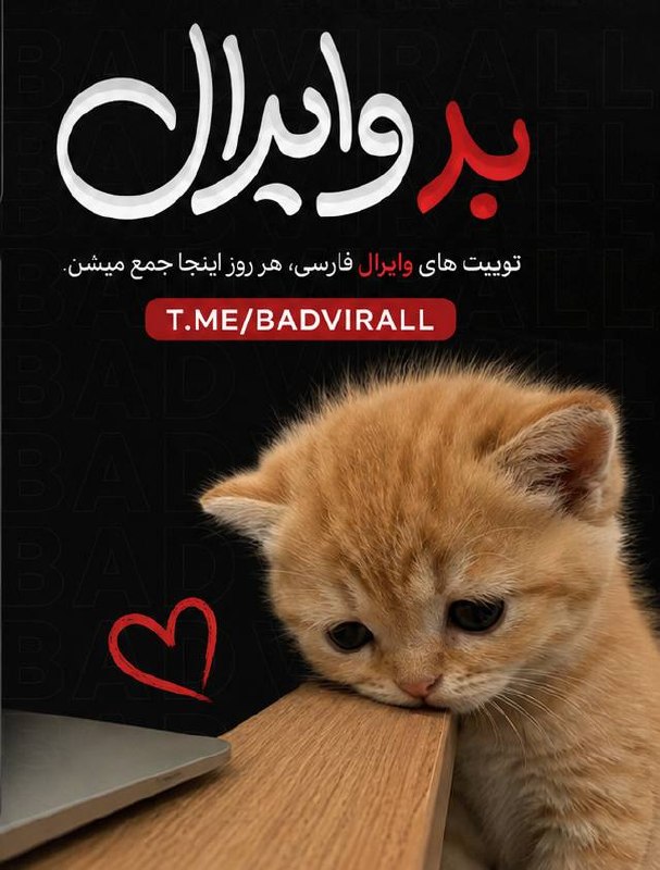 کاف: دلت یه جایی رو میخواد که توییت های روز توییتر رو بزاره؛ بدون اینکه بخوای ده تا اپلیشکن رو زیر و رو کنی؟! اینجا بهترین جا