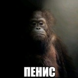69676767676 𝐿𝑦𝑐ℎ𝑒𝑒 𝐷𝑟𝑎𝑔𝑜𝑛. 𝑻𝒉𝒊𝒔 𝒊𝒔 𝒊𝒕? 𝑺𝒐 𝒃𝒐𝒓𝒊𝒏𝒈.