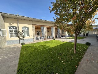 Mirzo Ulugbek tumanida lakatsiyasi zor joyda maxalla