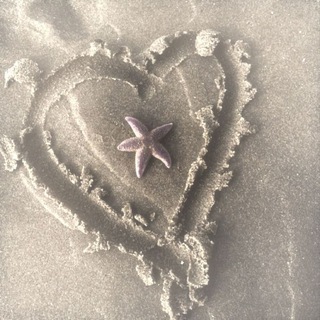 🐚ᴩiᴀrr ᴄhᴀᴛiᴋ🐚