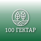 КФХ «100 ГЕКТАР»