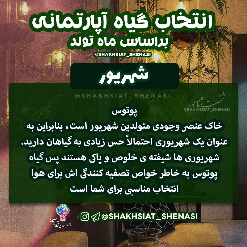 شخصیت شناسی: 💡گیاه آپارتمانی بر اساس ماه تولد 🪴🍀 #شهریور 🌿 💡شخصیت شناسی 👇https://t.me/joinchat/AsUKhDukJFl2EN4x19EZoA