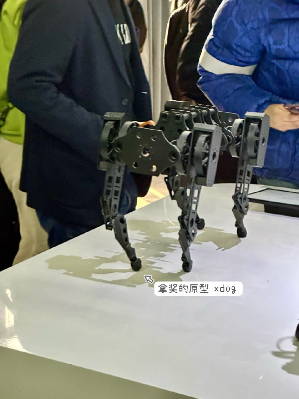 真实见到春晚超级明星黑皮舞蹈生了，补足了我关于四足机器人的各种信息空白（现场真的知无不言言无不尽），大开眼界大受震撼叹为观止！宇树，宇宙的科技树，给我 4 点很深刻的印象——1 极年轻全公司 500 人，年纪最大的就是创始人王兴兴自己，90 年的；员工以 95 后 00 后为主；招聘条件是本科就好，有经验者可降低不限