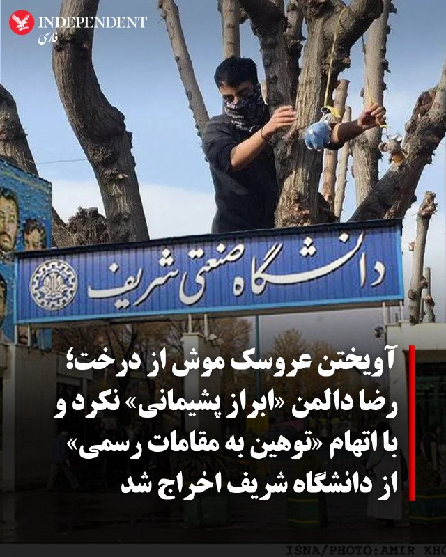 ما خِعلے باحالـیم!🔞: حکم اخراج رضا دالمن، دانشجوی کارشناسی ارشد مهندسی کامپیوتر دانشگاه صنعتی شریف، پس از تایید شورای مرکزی انضباطی سازمان ام