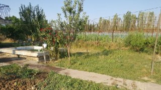Продается Дача 12 соток.  Пскент. В участке добротный дом 3ком