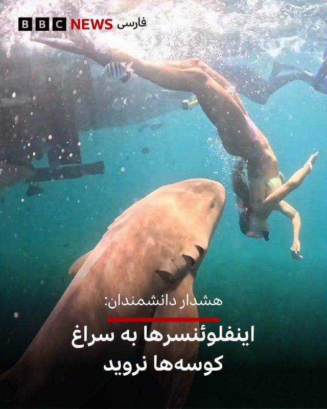 בראיון ל-BBC, מדענים הביעו את דאגתם מהגידול במספר משפיעני המדיה החברתית הנוקטים בפעולות מסוכנות כדי ליצור ס…