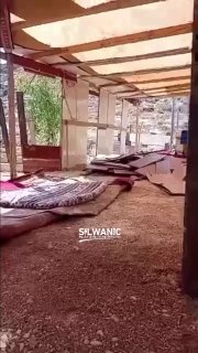 بلدية الاحتلال تفرض هدم حظيرة أغنام بالقدس