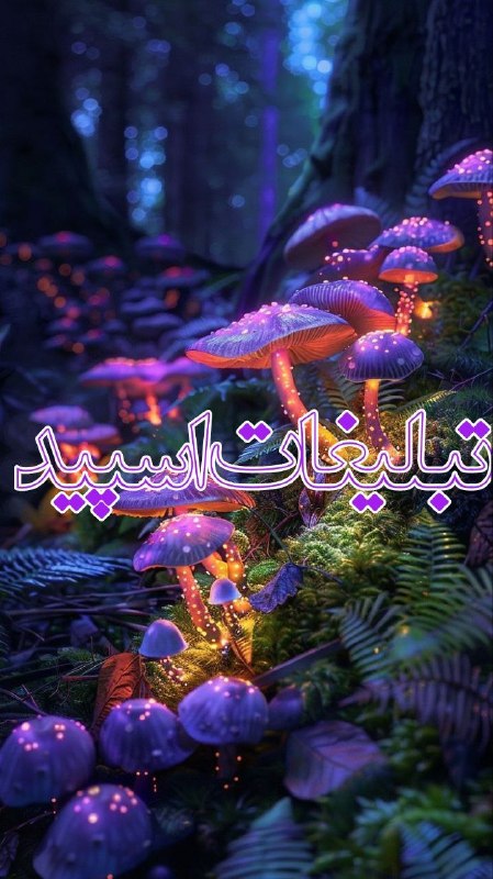 لینکدونی گروه چت شهرکرد: ❶﹚ نام : ⎯꯭᪵̽𝆺꯭𝅥𝐖𝐈𝐋𝐃𓆩᪵🜲꯭𓆪̥𝐖𝐎𝐋𝐅⎯꯭꥓᪵ͯ⟶❷﹚ نو؏ تبلیغات : #telegram❸﹚ توضیحات :𝑊𝐸𝐿𝐶𝑂𝑀𝐸 𝑇𝑂┈┈∘┈˃‌༒˂‌┈∘┈┈#𝑨𝑩𝑹𝑮𝑷 𝐖𝐈𝐋𝐄𝐃𝐖𝐎𝐋𝐅 sɨռᴄɛ" 