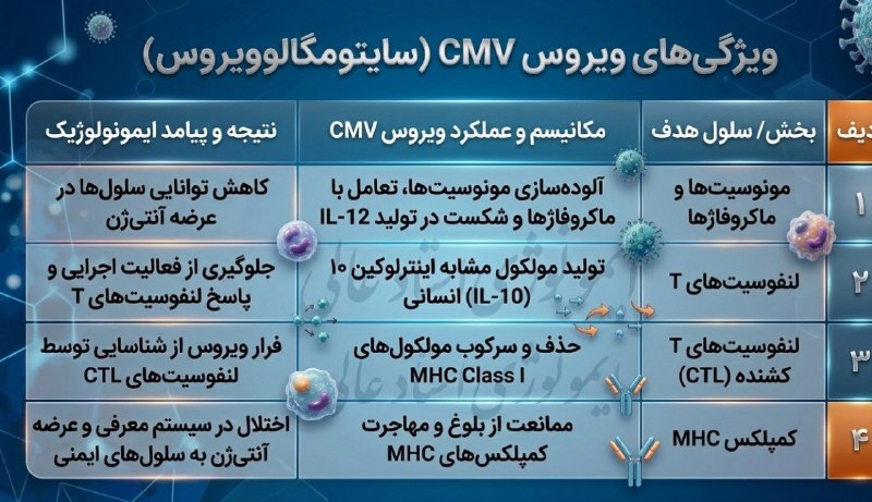 کانال ایمونولوژی استاد عالی: یه جدول خلاصه شده از عملکرد های مهاری و راه های فرار ويروسي CMV برای تفهیم بهتر ✅https://t.me/immunologyaali