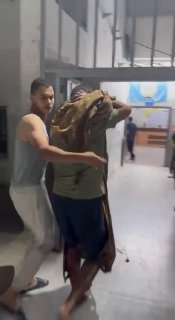 פציעה אירעה כתוצאה מפגיעה בדירה ליד המסגד הפלסטיני, ממערב לעיר עזה.