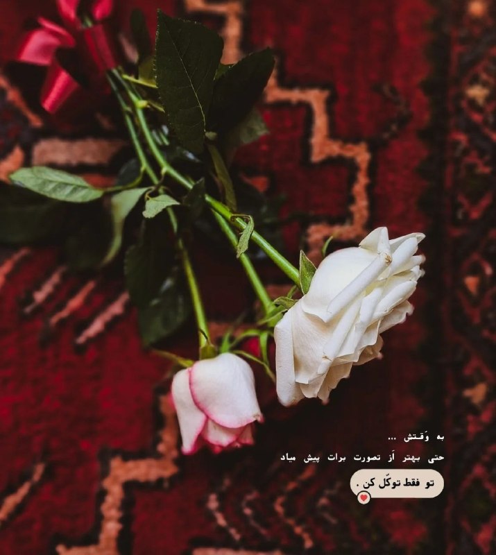 🙏دعاهای مشکل گشا 🙏: به وقتش...حتی بهتر از تصورت برات پیش میادتو فقط توکل کن↶【به ما بپیوندید 】↷┄┄┅┅┅❅🌼❅┅┅┅┄┄ @Ganje_arsh