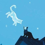Aster Cat