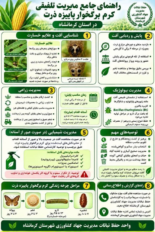 زراعت گندم: کنترل کرم برگخوار پاییزه