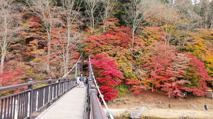 塩原溪谷賞楓記