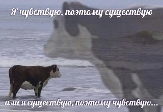 Испытывают ли животные эмоции? И как изучение этого вопроса помогает ученым разобраться с нашим эмоциональным миром: https://lentach.media/jfIDW