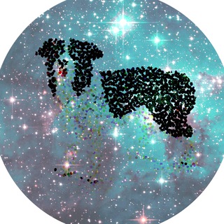 Collie Bsc Token Telegram Group Link