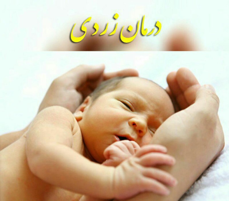 صرفا جهت اگاهی!: 💟 درمان_زردی🔘✍دمکرده ۵۰گرم گندم به صورت پودربا➀ ق.س.خ عسل مخلوط کرده وروزی یکبار به مدت ۴روزمیل کنید🔘✍مادران کودکان نیز 