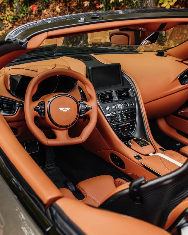 Aston Martin DBS 770 Ultimate Volante. 1 из 199. 5