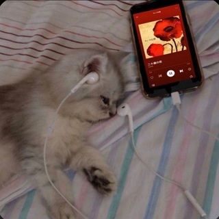 𝑝𝑙𝑎𝑦 𝑙𝑖𝑠𝑡