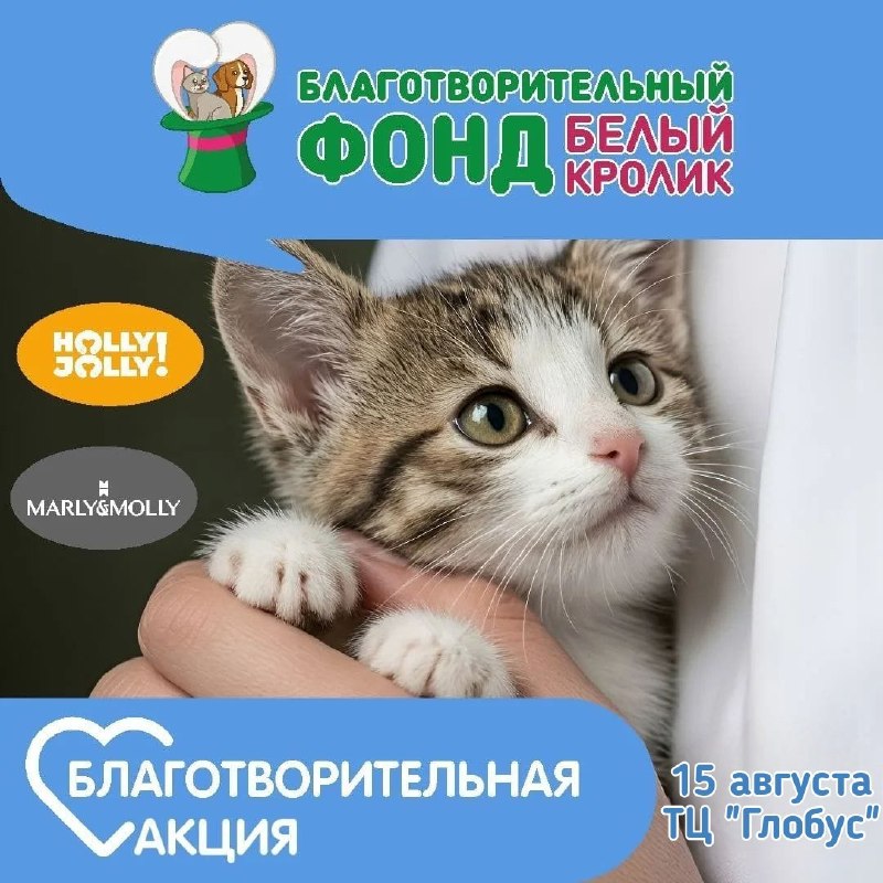 ✨Добрые выходные от Фонда "Белый кролик"✨
&nbsp;15...