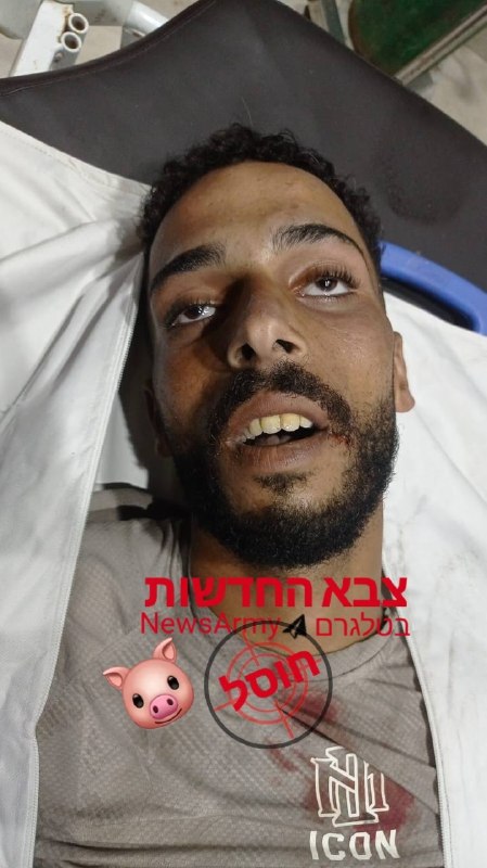 מחבל חוסל מירי כוחות צה"ל בנוסייראת שבמרכז הרצועה.