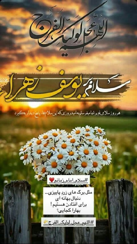 ❈قُبَّةُ الْحُسَیْن❈: سلام‌امام‌زمانم ♥️یابن الحسن جانم💞العجل‌حبیب‌تنهایی‌ما 💔السَّلامُ علیڪَ یا بقیَّةَ اللهِیا اباصالحَ المَهدي یا خلیفةَالر