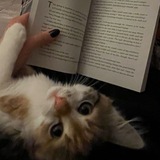 Книжная минерва🫀