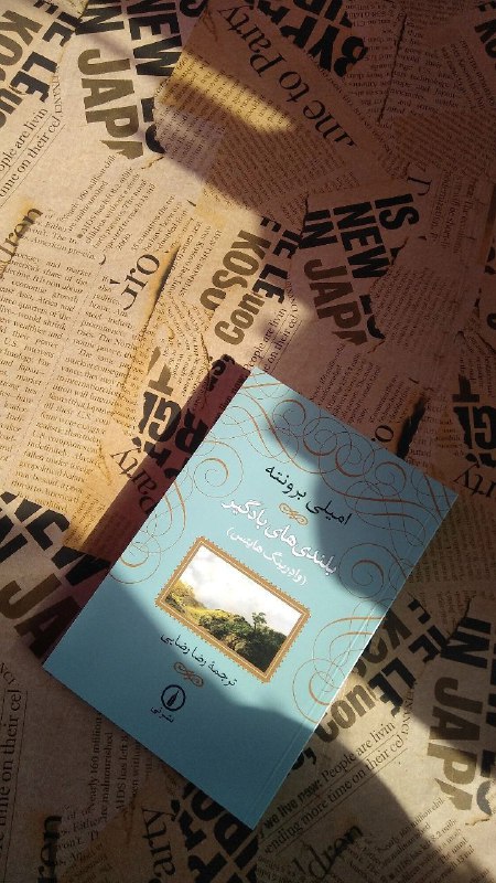 عاشقان کتاب: 📚🍂🍁الان برایم کسر شأن است که با هیث کلیف ازدواج کنم؛ او نباید بفهمد که چقدر عاشقش هستم، نه فقط بهخاطر اینکه خوشسیماست