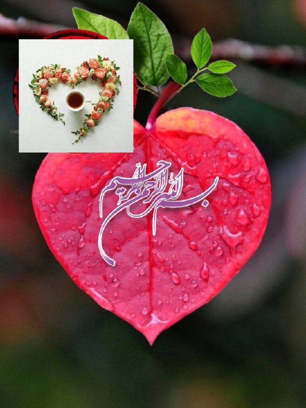 آثار کائنات: ♥️✨به نام خداوند نیکوسرشت⚪️✨که او در جهان بذرنیکی بکشت♥️✨خــدایــا " امــروز را ⚪️✨با نام تو آغاز می‌كنیم♥️✨نام تو آرامش