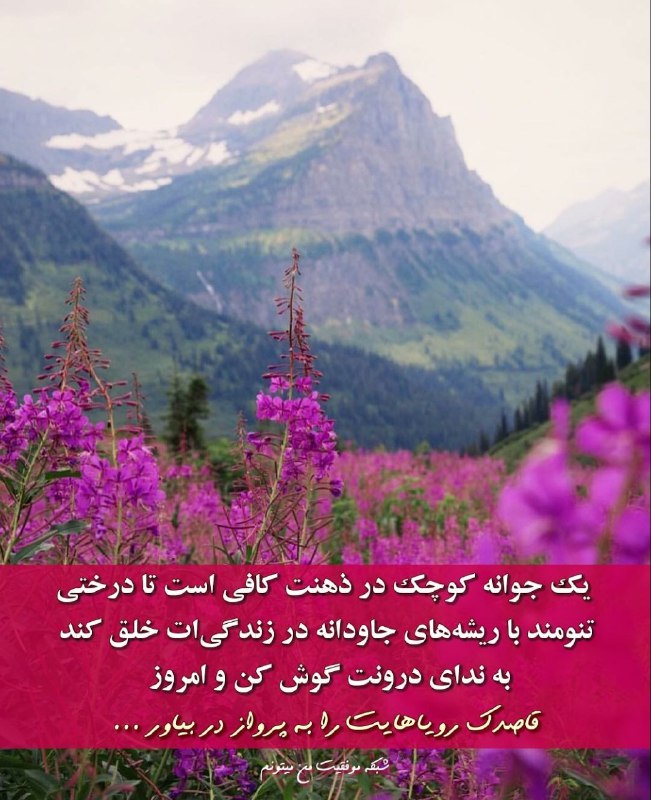 💯دهلران سیتی💯: 🌸🌸🌸یک جوانه کوچک در ذهنت کافی است تادرختی تنومند با ریشههای جاودانه در زندگیات خلق کندبه ندای درونت گوش کن و امروز قاص