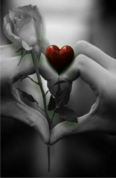 ✔️👈 بََََِِِِِـرتِِِِِِِِِِـََََریََََِِِِِِِِنـََََِِِِِِِِهـٍََََِِِِِِِـاََََِِِِِِِِ 👉✔️: همیشه لازم نیست چهره ای زیبا یا صدایی دلنشینداشته باشیهمین که قلبت زیبا باشدو زیبا ببینی، کافیستتا بتوانی خیلی ها را مجذ
