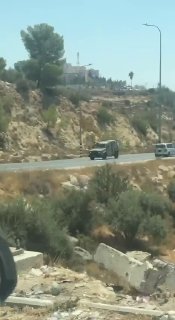 מקורות מקומיים דחופים: