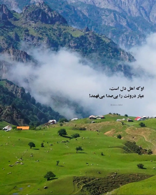نقطه سر خط: آنکه اهل دل است، بی‌صدا عیار درونت را می‌فهمد و با نگاهی، تمام ناگفته‌هایت را می‌خواند.@noqtesarkhat 🫆