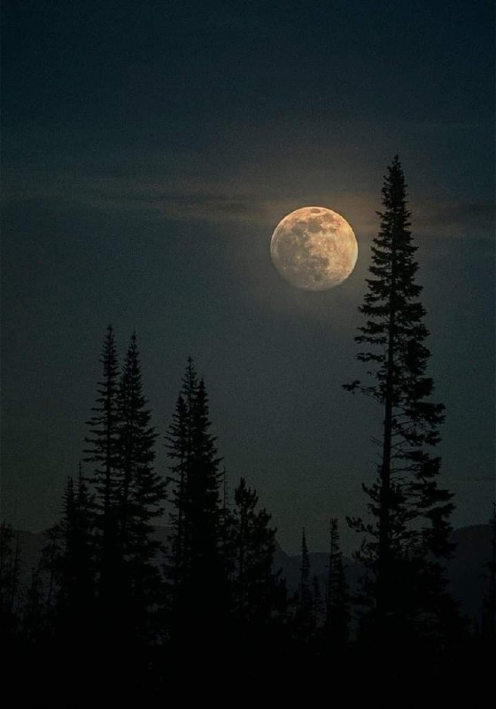 کانال عاشقانه های مینوووو❤️❤️(عشق ودوستی): شب شد خیر باشد 🌓🌛‌❤️❤️❤️❤️