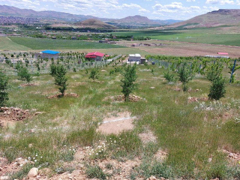 اتومبیل زیرک: رسانه پست