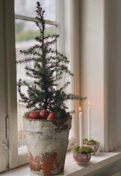 А вот вам немного вдохновения В качестве кашпо может служить любая емкость ваза, винтажная посудина из стекла или металла, ведро, салатник. Мы огра... - изображение 3 - telegram, view, немного