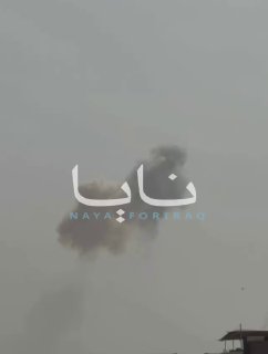 ספיר ליפקין