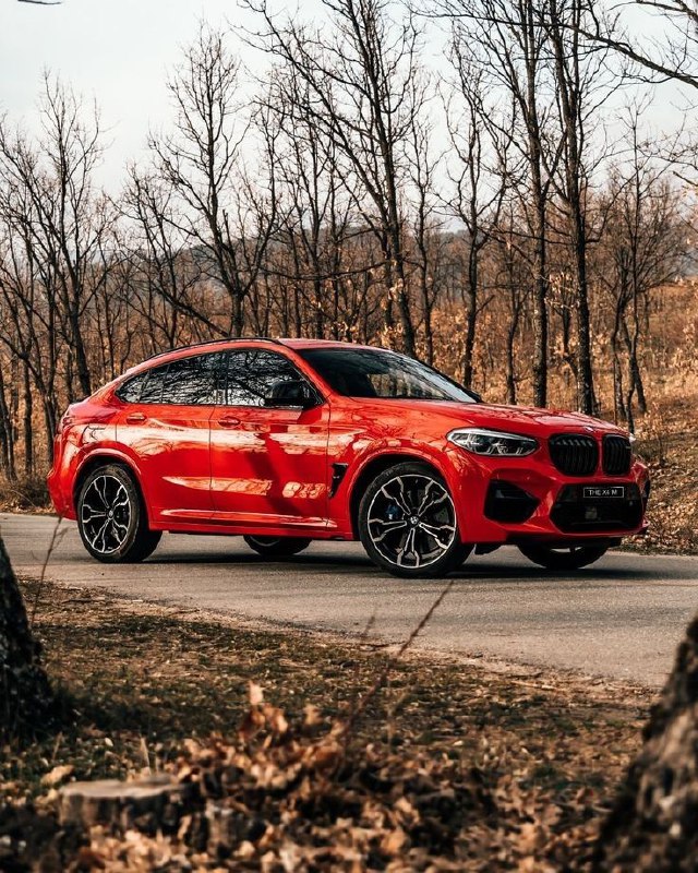 BMW X6 M 9